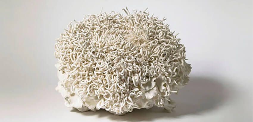 La terre papier